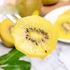 Kiwi Beleza Dourada de Pujiang, Sichuan - disponível para dropshipping em embalagens de 6/10/15/20/24/30 unidades; fruta de kiwi fresca, com polpa amarela