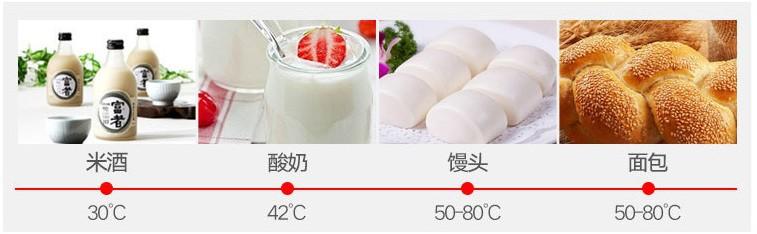 发酵食品