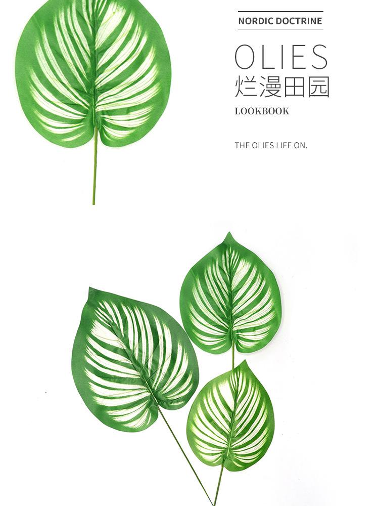 白纹花绿萝叶单支_08.jpg