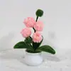 Producto Terminado: Ramo de Planta Pequeña en Maceta con Palo Retorcido DIY, Decoración de Escritorio de Oficina, Regalo para Amigos, Regalo del Día del Maestro