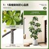 Planta de Simulación Madera Pie de Pato de Pie en Maceta Planta Verde Biónica Adornos Sala de Estar Lado del Sofá Decoración del Hogar Bonsái Árbol Falso