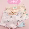 Embalagem de Papelão Roupa Íntima Infantil Algodão Puro Meninas Boxer de Estudante Roupa Íntima Infantil Desenho Animado