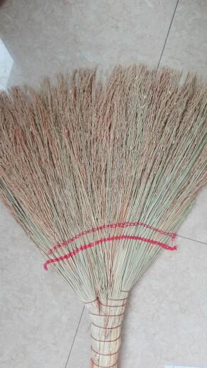 picture-0a26fed9e513ed72edbc66