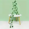 Rábano Verde, Hojas de Camote, Hiedra Trepadora, Bestseller Transfronterizo en Amazon Temu/Shein, Etiquetado y Dropshipping 2.1
