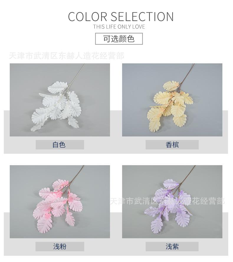 详情_02.png