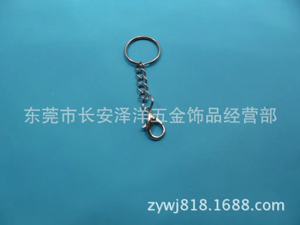 SAM_2729