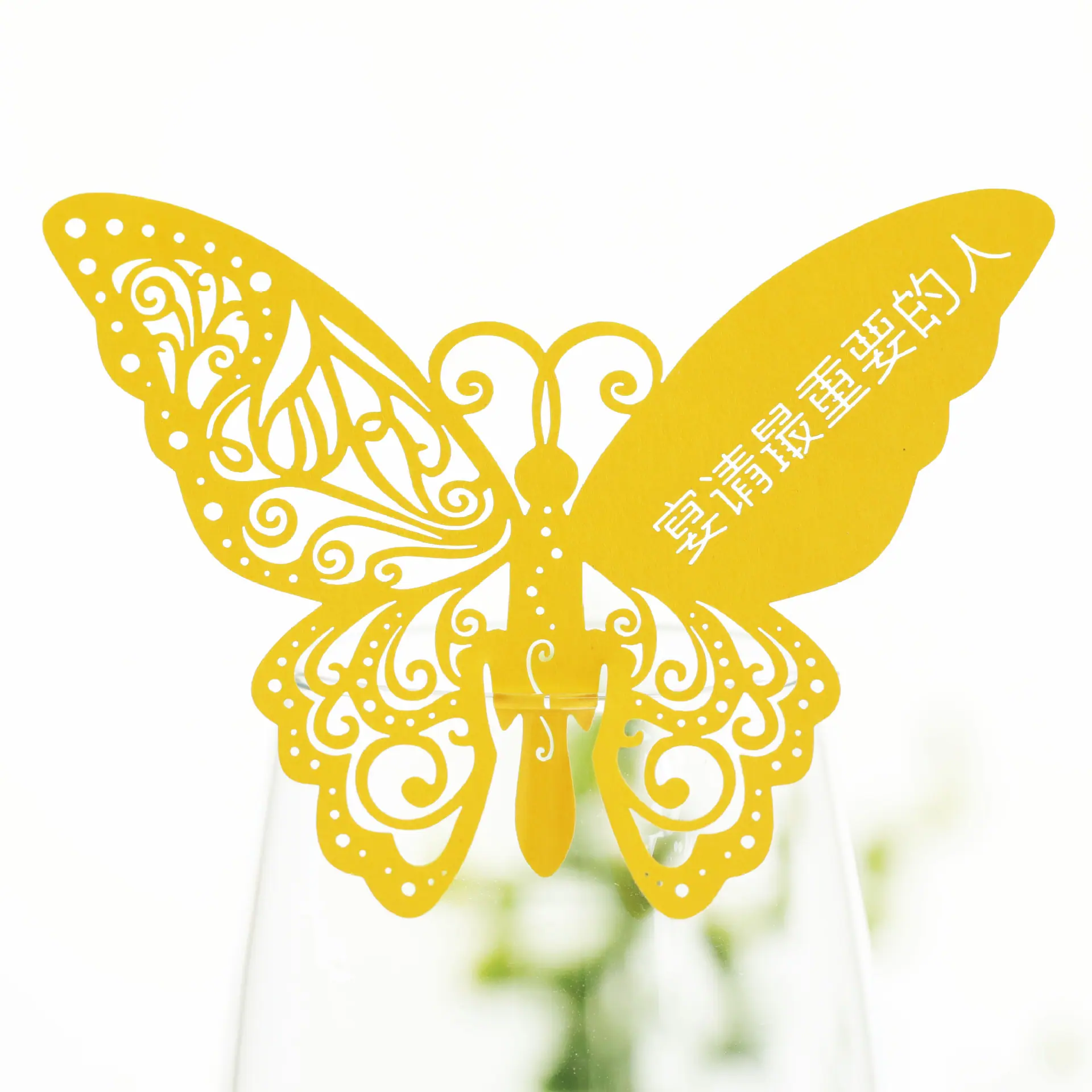9R3A2911 暗黄卡
