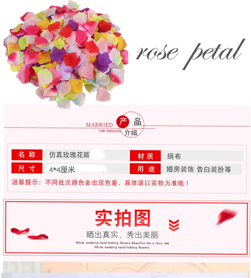 玫瑰花瓣_01