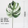 Simulación de plástico monolítico de hoja de tortuga para patio, decoración suave con hojas para el hogar, decoración de oficina, planta verde de simulación