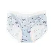 2026 Nuevas Bragas de Gato con Estampado Floral Completo con Entrepierna Extendida, Cintura Media, Cómodas, Transpirables, Amigables con la Piel, Calzones para Niña