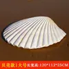 Adornos de Concha de Coral Estrella de Mar para Exteriores Escultura de Fibra de Vidrio Paisaje Escena Temática Marina Accesorios Decoraciones