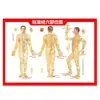 Calentador eléctrico de lana de moxa para cabeza, hombros y cuello, paquete de terapia de moxa integrado para calentar el cuello y los hombros, diseñado específicamente para la terapia de la columna cervical, y un chal térmico