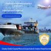 A Special Line International Freight Logistics Europe com cobertura fiscal da FBA poupa DDP para Alemanha, França, Itália, Espanha, Holanda