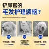 Spray Desenredante Antiestático para Perros y Gatos, Aceite Esencial para el Cuidado del Pelo de Mascotas, Desenredante para Pelo Largo, Producto para el Cuidado del Pelo de Gatos y Perros