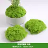 Paisagismo com Grama de Musgo, Arranjo de Micro Paisagem com Musgo Falso Biônico, Bonsai de Gramado, Plantas em Vasos, Plantas para Pavimentação