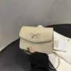 Bolsa de Design de Nicho Feminina 2025 Verão Nova Alto Valor de Cor Bolsa de Corrente Moda Ombro Transversal Pequena Bolsa Quadrada