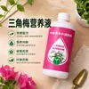 Solução Nutritiva para Bougainvillea Fertilizante Especial Fertilizante para Floração Fertilizante para Flores Domésticas Promove a Floração Fertilizante Composto Solução Nutritiva