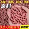 Western Wind Minhocas Vermelhas Minhocas Super Grânulos Isca para Pesca de Peixes Selvagens como Carpa Crucian, Carpa Capim e Peixes de Cheiro Forte, Isca de Peixe em Grânulos para Lagos Escuros