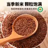 Novo Produto: Arroz com Quinoa Vermelha Orgânica de Qinghai, Arroz com Quinoa Vermelha e Tricolor de Alta Altitude, Alimento Básico para Gestantes e Crianças, Arroz de Grão Grosso