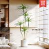 Planta Verde de Simulación Madera Milenaria Planta Falsa Lujo Ligero de Gama Alta Decoración de Interiores Árbol Sala de Estar Grande en Maceta Adornos de Piso