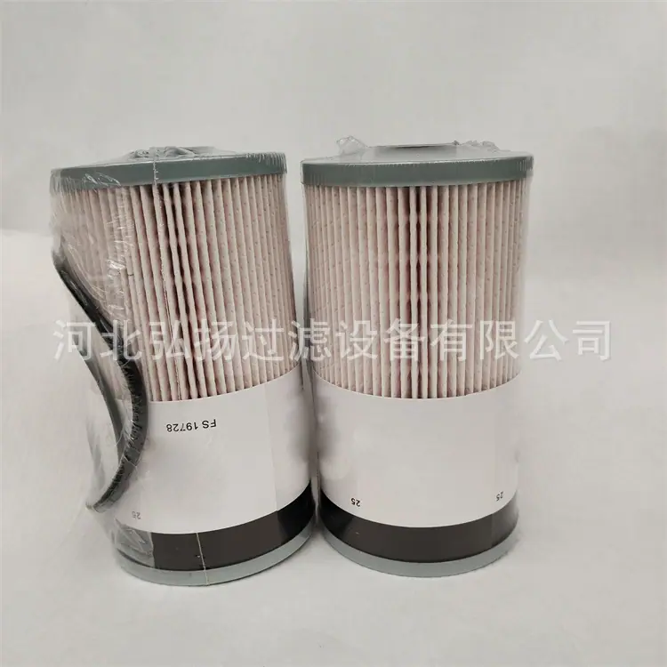FS19728弗列加