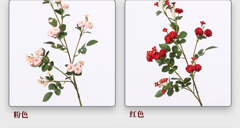 工厂描述_05.jpg