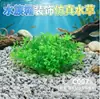 Suministros para mascotas, pecera, paisajismo, decoración, simulación de agua, césped, flores de plástico, plantas, césped, bonsái, jardinería, plato de sushi, flor decorativa.