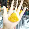 Cadena para Suéter de Cera de Abejas Ámbar Imitación Incrustada con Conchas Fósiles de Plantas Collares de Moda para Hombres y Mujeres Accesorios de Transmisión en Vivo de Exposición