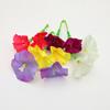 Accesorios de pétalos de cabeza de campanilla de mañana simulación arreglo floral de ratán flor artificial decoración de boda arreglo floral de paisajismo