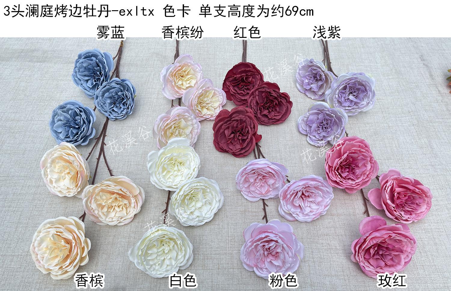 3头澜庭烤边牡丹-exltx 色卡 花溪谷.jpg