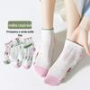 Meias femininas primavera e verão meias canoa meias femininas finas respiráveis meias curtas meias casuais de algodão meias femininas estilo japonês da moda meias femininas fofas e doces