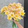 Bulbos de aliso de doble flor, fresia, semillas de nardo para balcón, plantas perennes para interiores y exteriores.