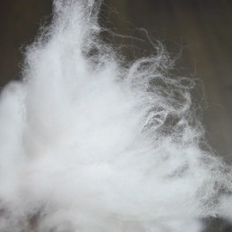 A16