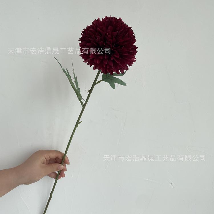 微信图片_202206141501374_副本