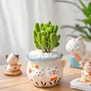 Combinación de Plantas Suculentas Plantas Pequeñas de Interior en Maceta con Macetas de Cerámica, Cactus de Gama Alta Plantas Verdes en Macetas
