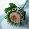 Flores Artificiales, Flores de Boda de Alto Nivel Flocadas para Escenario Exterior, Flores Secas para el Hogar, Cardo Pluma de Fénix, Emperador