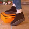 Botas de neve retro com acabamento fosco para mulheres, novo estilo de inverno 2026, forradas com fleece, sapatos de algodão com sola grossa, sola macia, antiderrapante, quentes, botas de algodão nordestinas