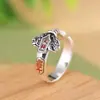 Anel de Dedo Anel de Espada Tesouro do Mestre Celestial Taoísta Retrô Estilo Artístico Masculino Resina Âmbar Moeda de Cobre Anel Ajustável Dedo Indicador Estilo Chinês Feminino