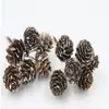 Venta al por mayor de fábrica de piñas decorativas de varios tamaños de 1 a 18 cm, piñas de flores secas, piñas al aceite con tallos para decoraciones navideñas