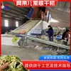 Máquina Secadora de Verduras, Línea de Producción a Gran Escala para Secado de Repollo Chino para Bebés, Lechuga y Semilla de Mostaza, Equipo Secador de Verduras con Cinta de Malla