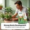 Suplemento Nutricional para Crescimento de Plantas Moonspry para Cuidado do Sistema Radicular e Manutenção de Flores e Plantas em Vasos Caseiros
