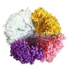 Flores eternas de Gipsófila, flores secas, flores reales, materiales para manualidades, regalos de Navidad y San Valentín, decoraciones de boda, transfronterizo