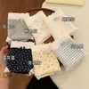 Nuevos Calzones tipo Boxer de Algodón Puro Antibacteriano de Verano, Finos, con Entrepierna Extendida, Dobladillo que no se Enrolla, Sin Costuras, de Cintura Media para Mujer