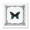 Espécime de Borboleta Real Decoração de Casa DIY Moldura de Madeira para Fotos Suprimentos de Pintura Decorativa Avançada Presente Moderno Presente Criativo