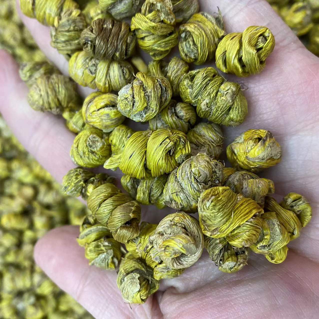 微信图片_20211220165512