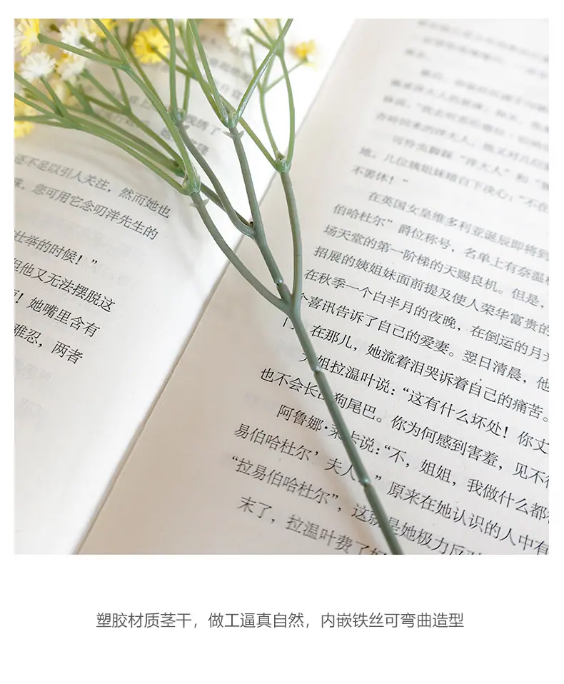 迷你小单枝奥斯丁满天星-黄底_13.jpg