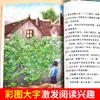 O Segundo Volume da Série de Livros Alfabetização Essencial da Língua Chinesa para o Ensino Fundamental de Quinta Série, Completa com 8 Volumes, É Recomendado por Professores para Leitura Extracurricular: Rio Hulan
