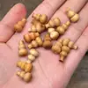 Calabaza de Palosanto, Calabaza de Sándalo Rojo, Calabaza de Sándalo Negro, Accesorios de Cuentas Budistas Hechos a Mano para DIY, Venta Directa de Fábrica