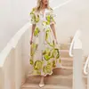 Otoño 2027 Sitio Independiente Moda Femenina Amazon Nuevo Estilo Europeo y Americano Ajuste Delgado Acampanado Gasa Estampado Vestido Largo Vestido de Playa