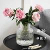 Vaso Transparente Simples Estilo Nórdico Ins Feng Shui Flores Vaso de Vidro para Decoração de Sala de Estar Decoração de Celebridade da Internet